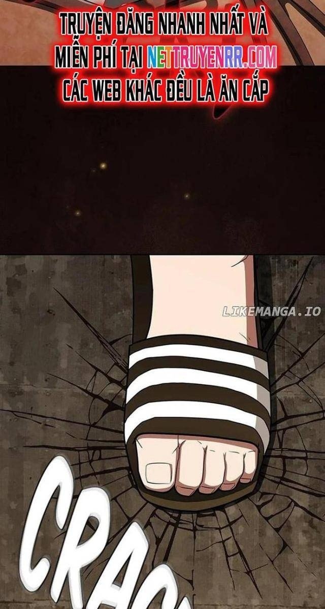 Tôi Là Người Chơi Leo Tháp Một Mình - Page 4