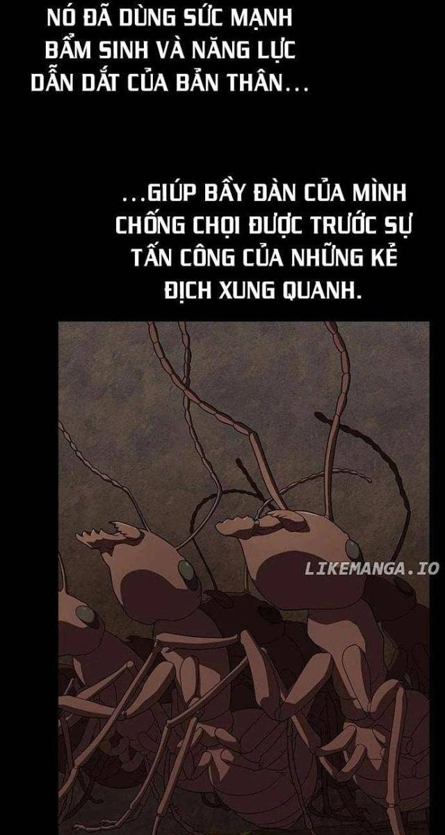 Tôi Là Người Chơi Leo Tháp Một Mình - Page 62