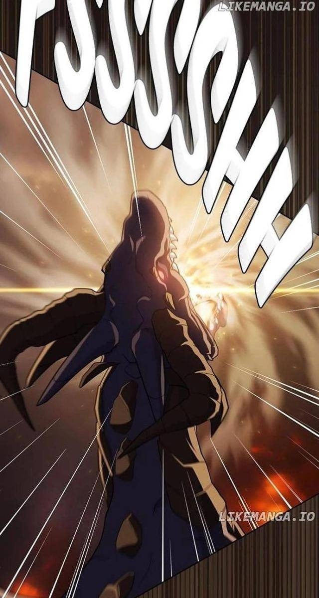 Tôi Là Người Chơi Leo Tháp Một Mình - Page 19