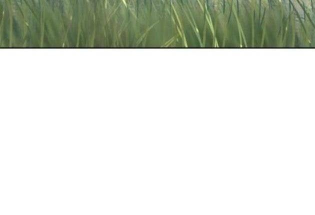 Võ Giả Bất Đắc Dĩ - Page 98