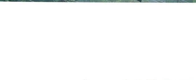 Hành Tinh Quái Vật - Page 43