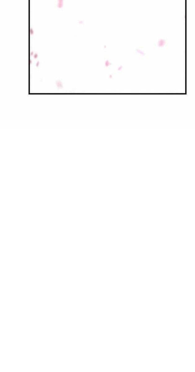 Sử Kí Kim Quang Tử - Page 150