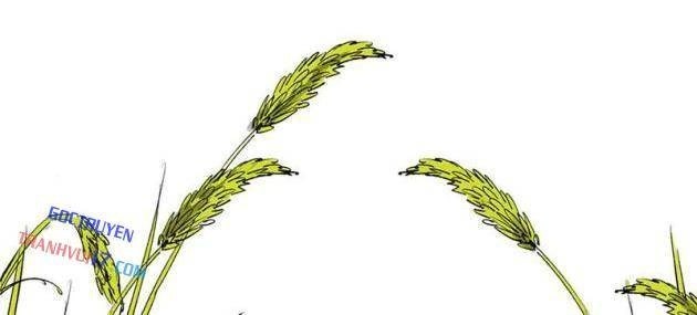 Máy Mô Phỏng Nhân Sinh Của Lữ Bố - Page 64