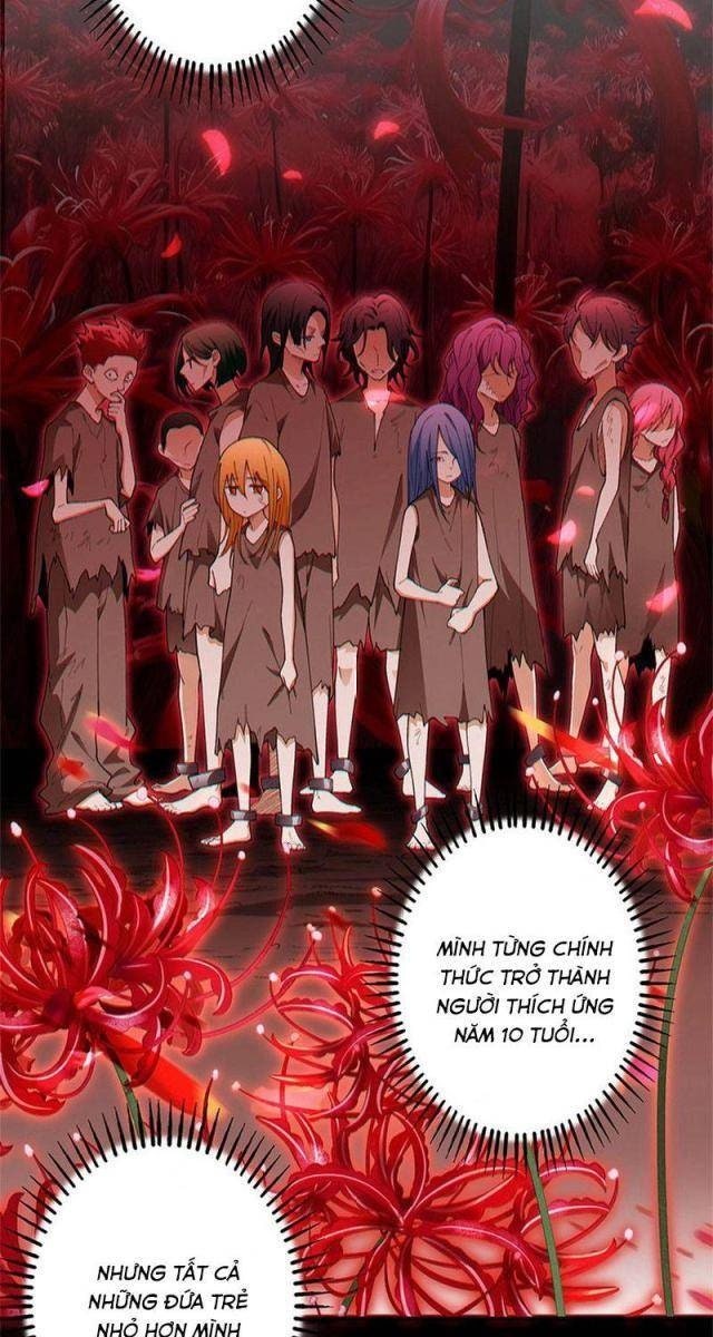 Ranker SSS Được Chọn - Page 14