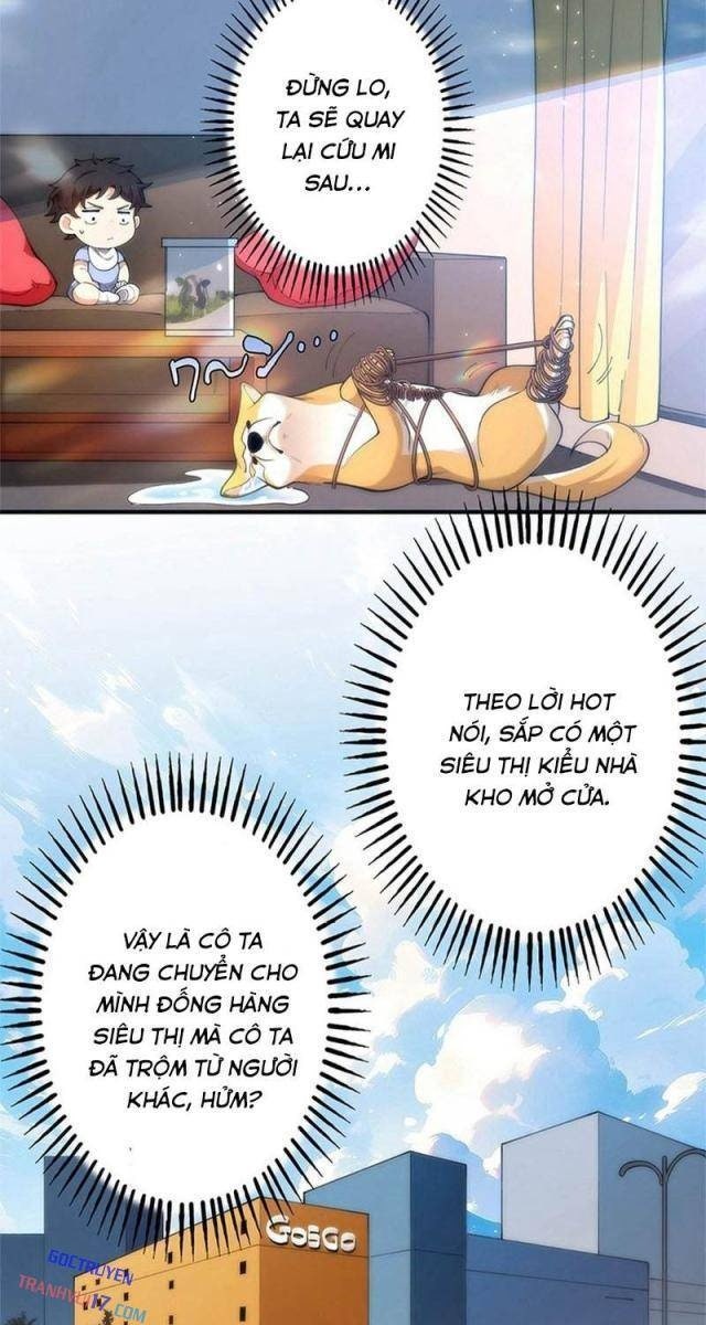 Ranker SSS Được Chọn - Page 19
