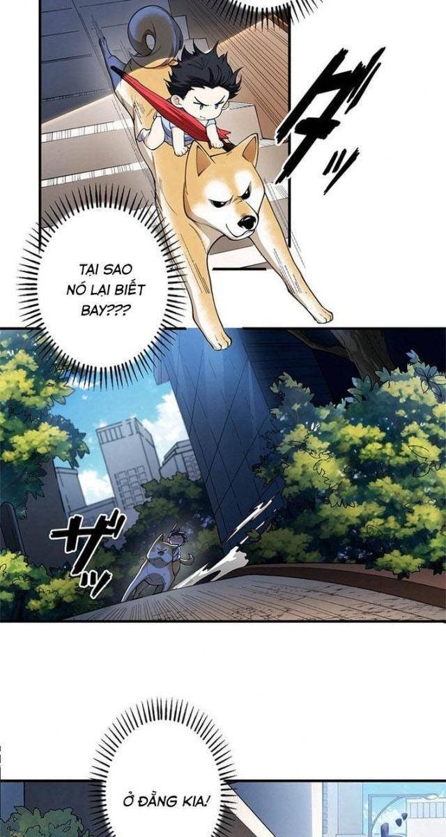 Ranker SSS Được Chọn - Page 33