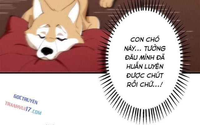 Ranker SSS Được Chọn - Page 28