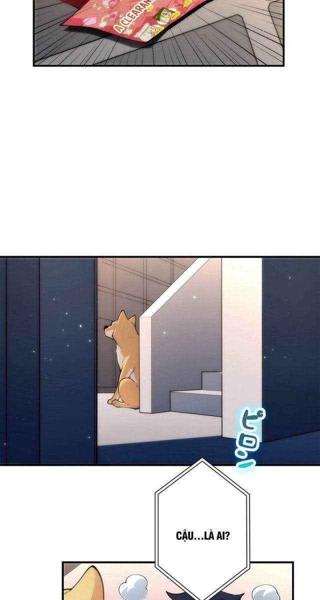 Ranker SSS Được Chọn - Page 49