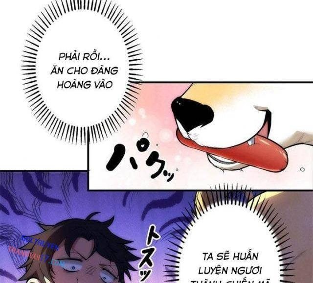 Ranker SSS Được Chọn - Page 42