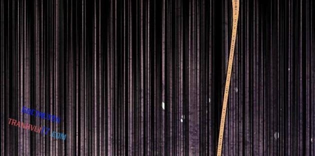 Vạn Cổ Tối Cường Tông - Page 64