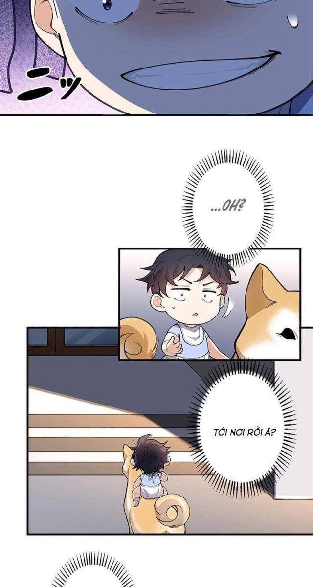 Ranker SSS Được Chọn - Page 18