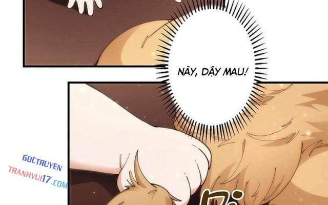 Ranker SSS Được Chọn - Page 26