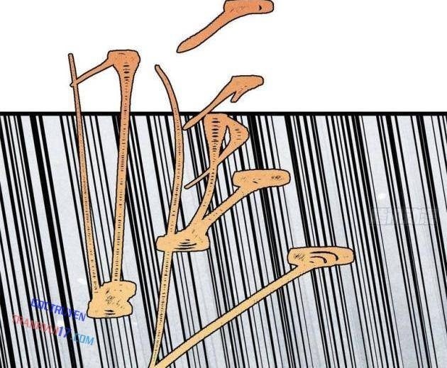 Vạn Cổ Tối Cường Tông - Page 38