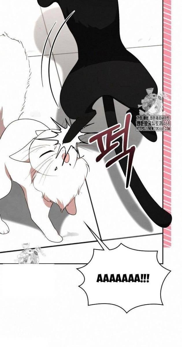 Studio Tùy Hứng Của Nghệ Sĩ Thiên Tài - Page 21