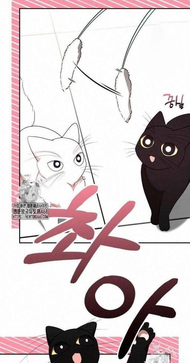 Studio Tùy Hứng Của Nghệ Sĩ Thiên Tài - Page 19