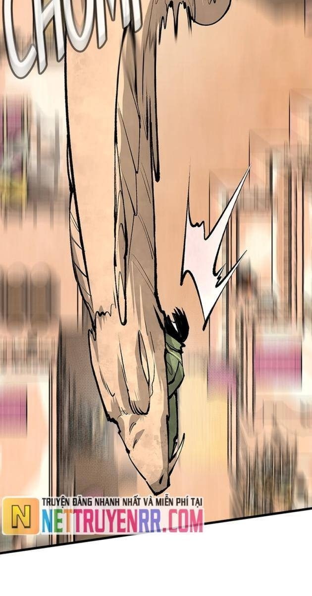 Ngọn Lửa Của Hòa Bình - Page 50