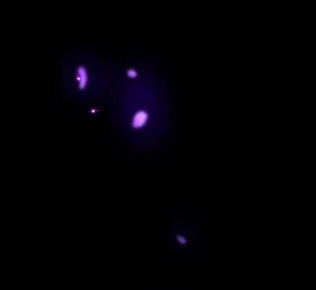 Lời Nguyền Của Dangun - Page 17