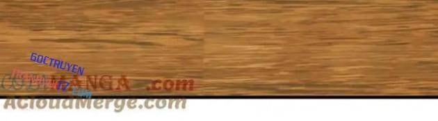 Tiên Võ Đế Tôn - Page 23