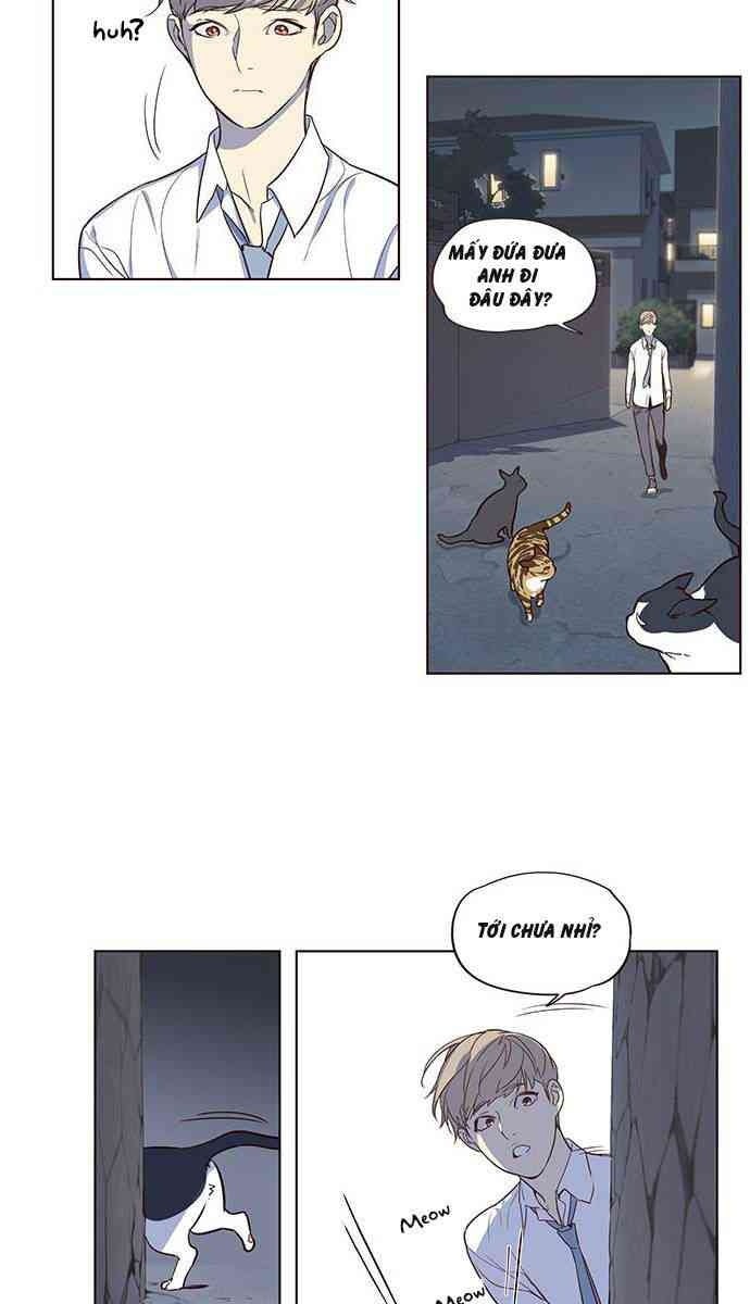 Mèo Mập Béo Bự - Page 45