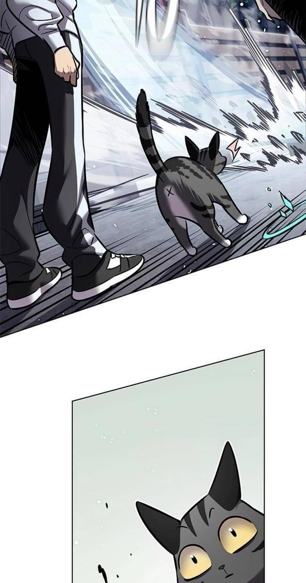 Mèo Mập Béo Bự - Page 16