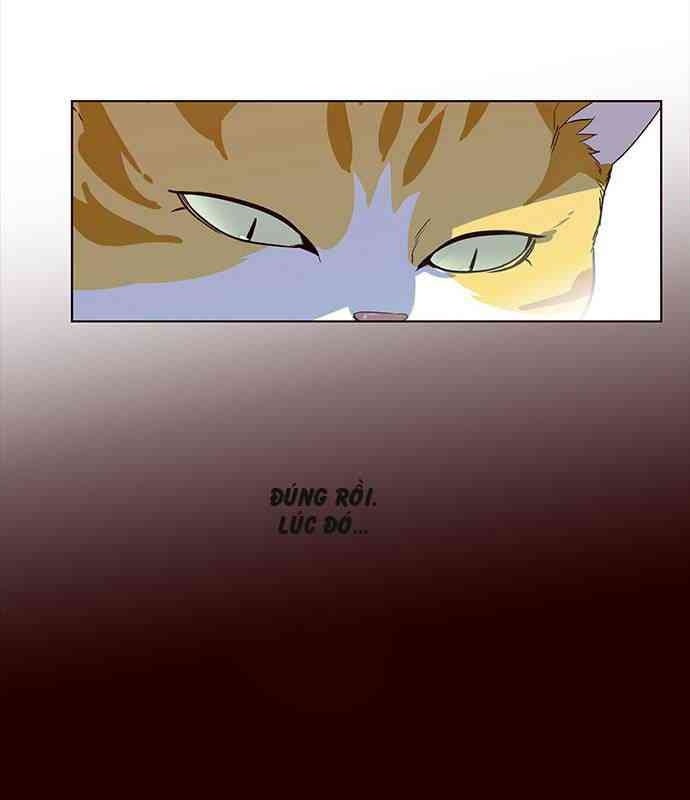 Mèo Mập Béo Bự - Page 52