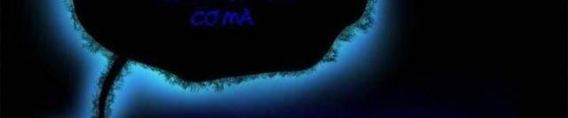 Thợ Săn Mosin - Page 4