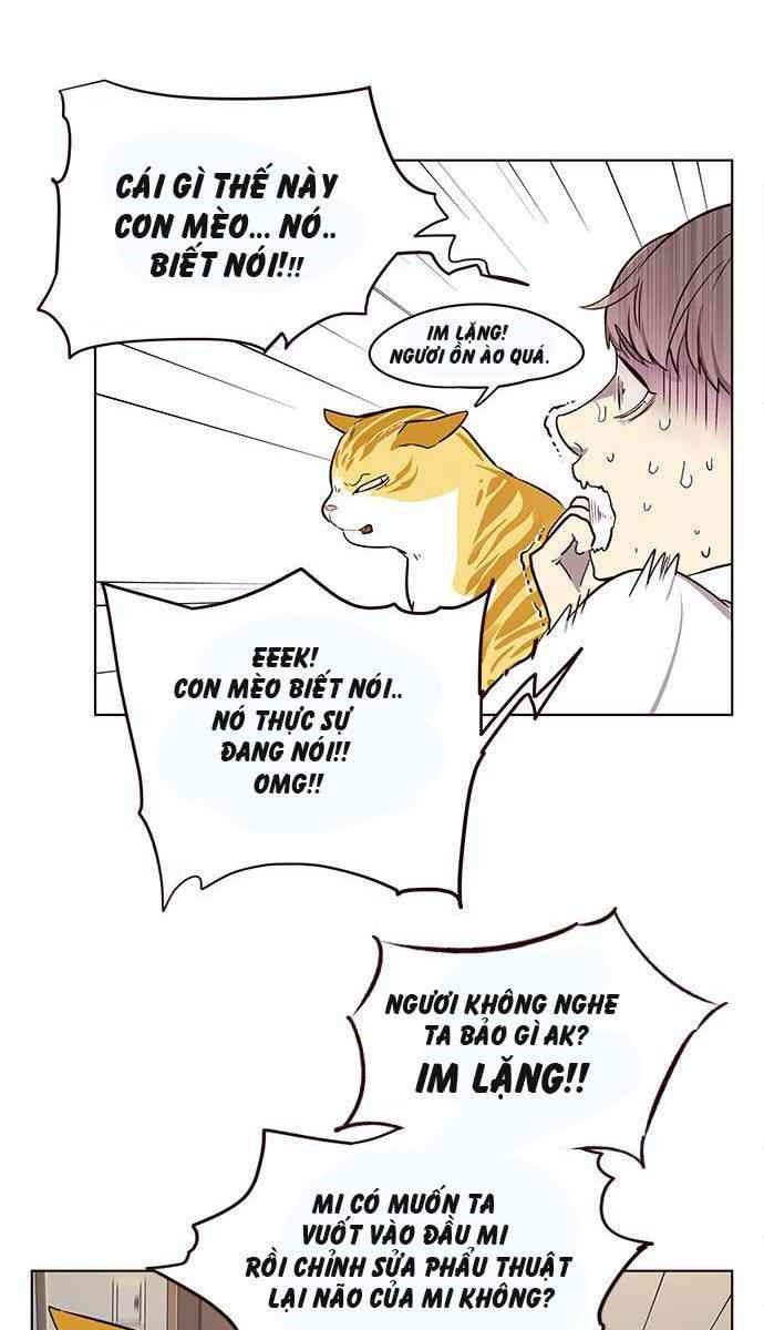 Mèo Mập Béo Bự - Page 77