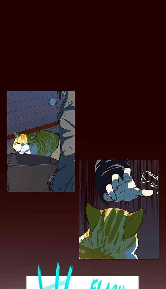 Mèo Mập Béo Bự - Page 53