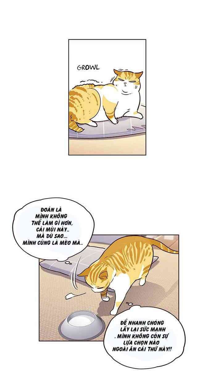 Mèo Mập Béo Bự - Page 69