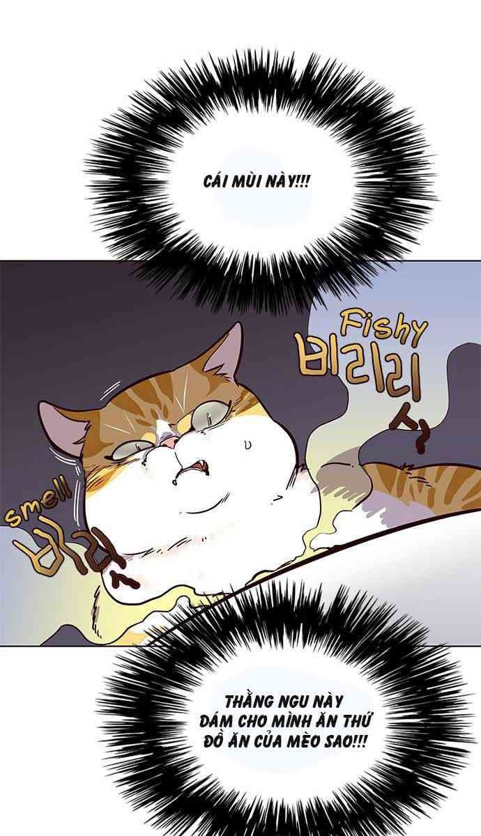 Mèo Mập Béo Bự - Page 67