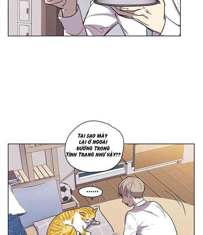 Mèo Mập Béo Bự - Page 62