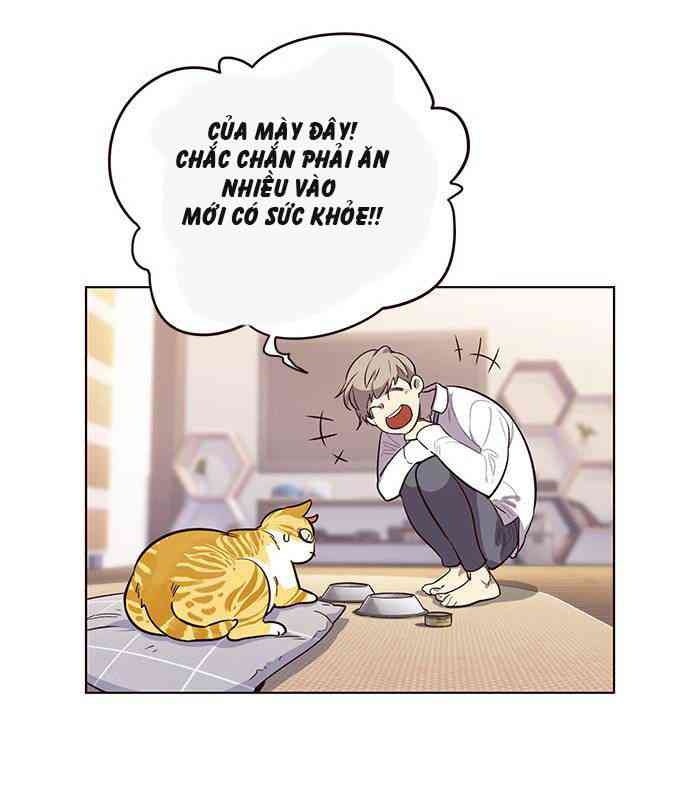 Mèo Mập Béo Bự - Page 66