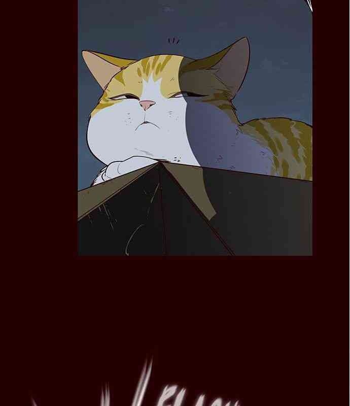 Mèo Mập Béo Bự - Page 8