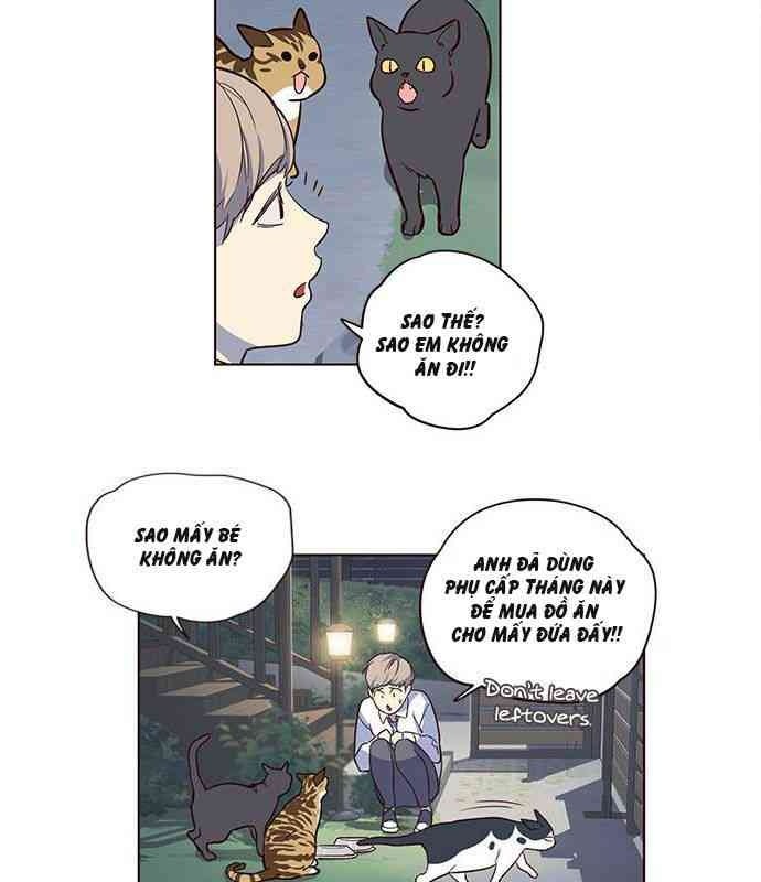 Mèo Mập Béo Bự - Page 42