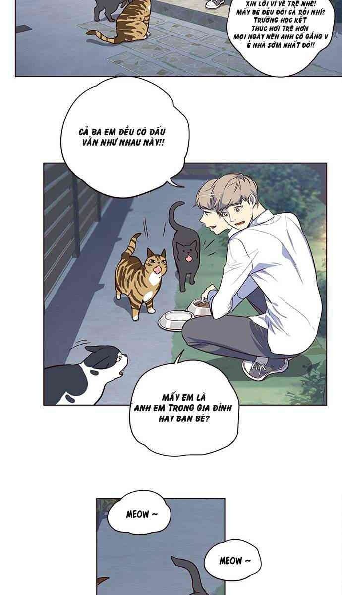 Mèo Mập Béo Bự - Page 41