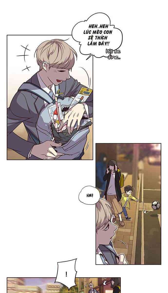 Mèo Mập Béo Bự - Page 17