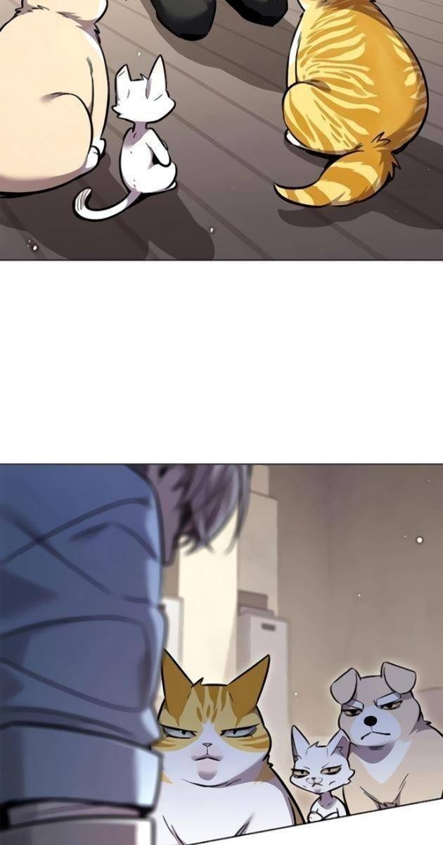 Mèo Mập Béo Bự - Page 133