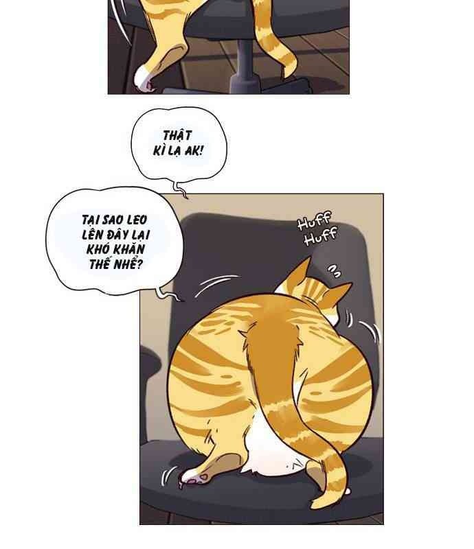 Mèo Mập Béo Bự - Page 86