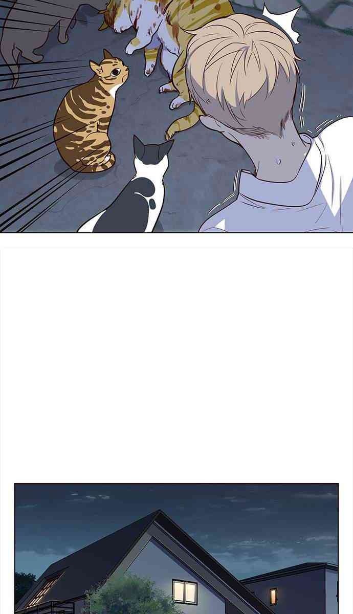 Mèo Mập Béo Bự - Page 47