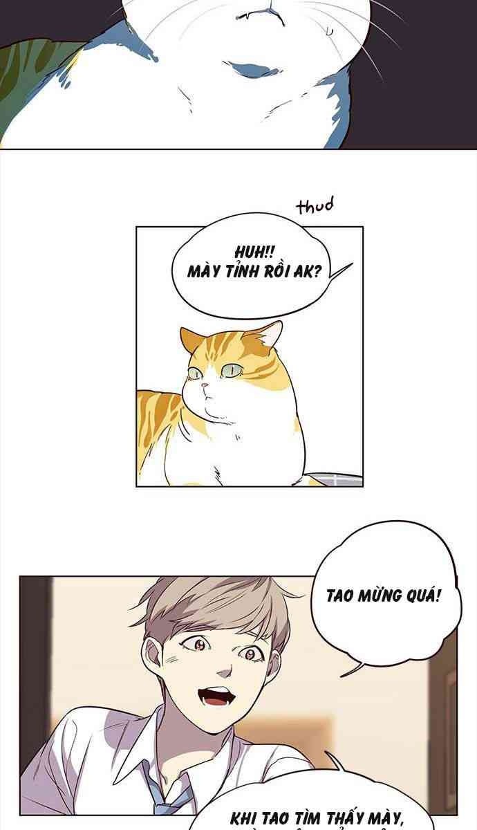 Mèo Mập Béo Bự - Page 57