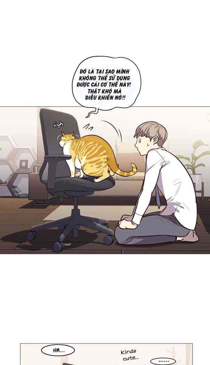 Mèo Mập Béo Bự - Page 87