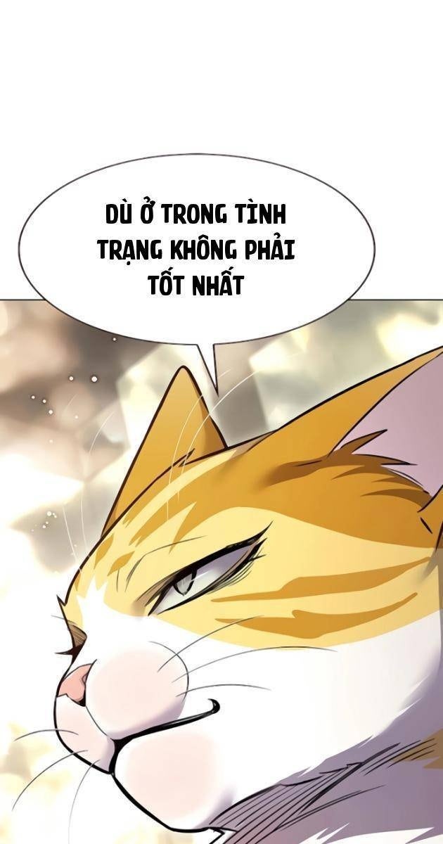 Mèo Mập Béo Bự - Page 136