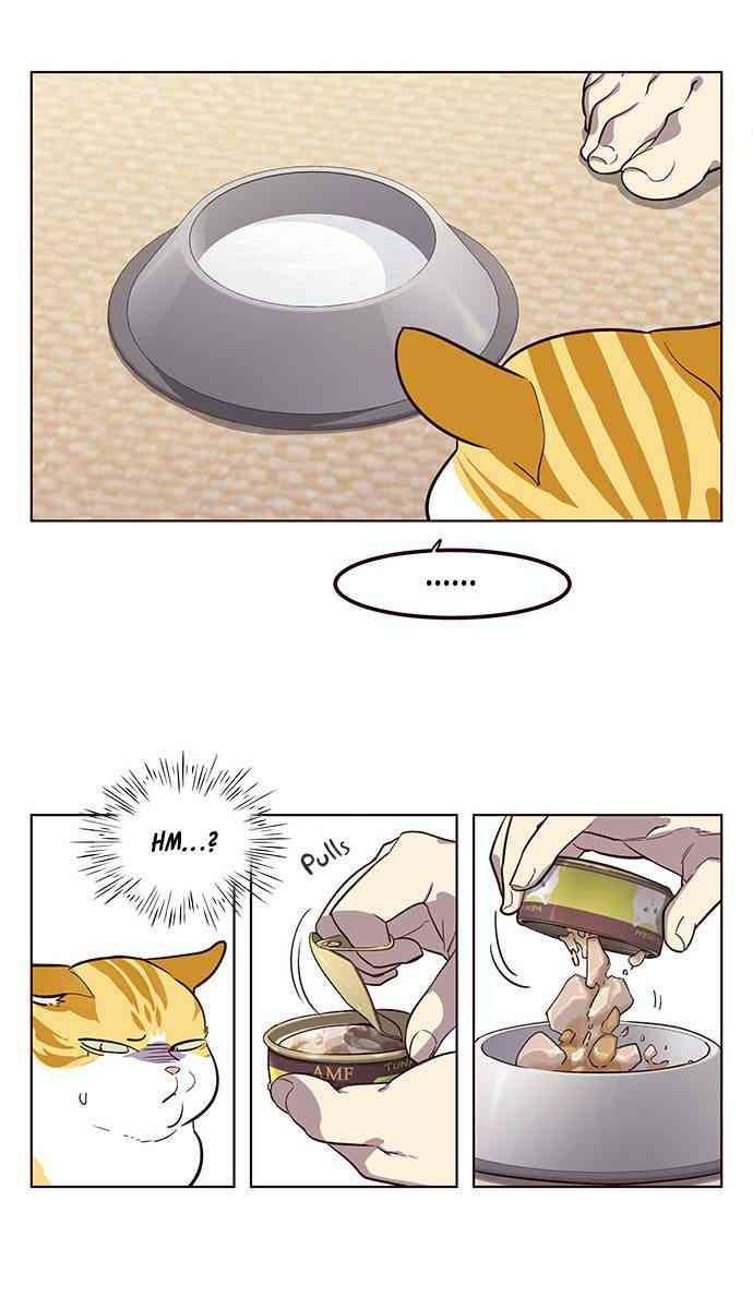 Mèo Mập Béo Bự - Page 65