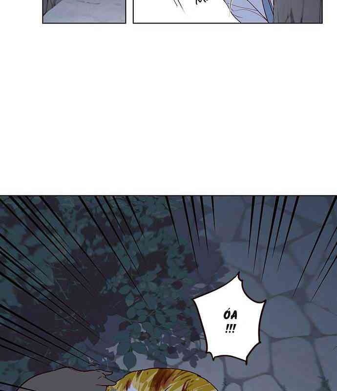 Mèo Mập Béo Bự - Page 46