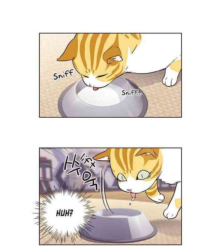 Mèo Mập Béo Bự - Page 70