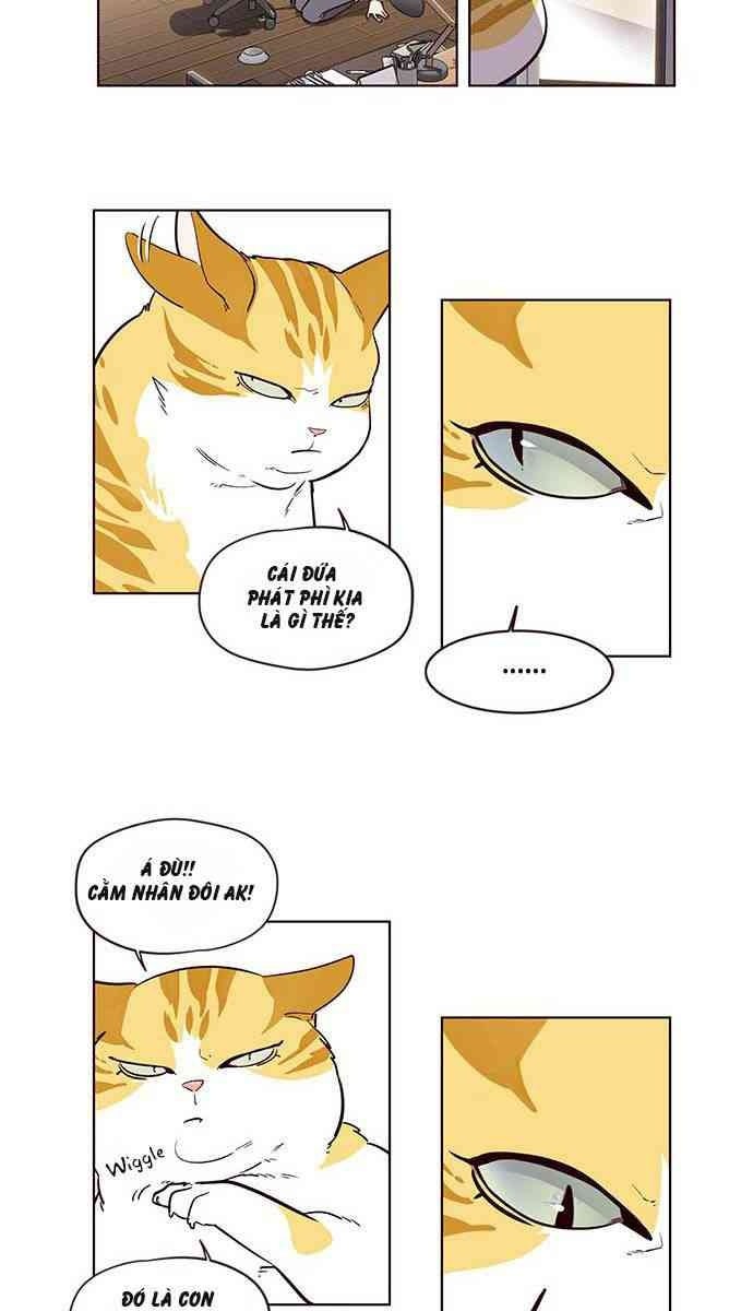 Mèo Mập Béo Bự - Page 91