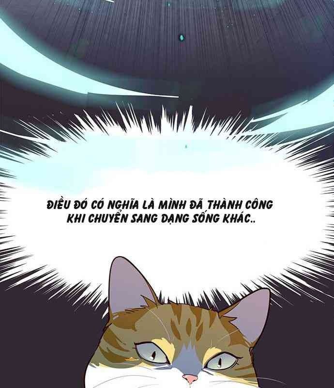 Mèo Mập Béo Bự - Page 56