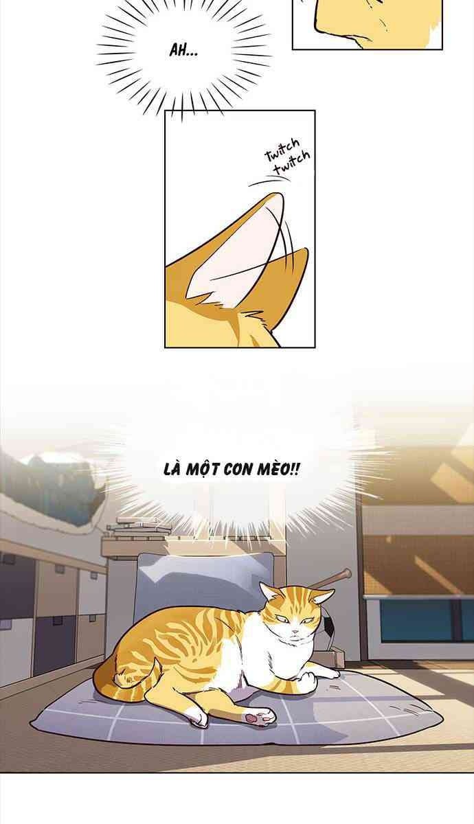 Mèo Mập Béo Bự - Page 51