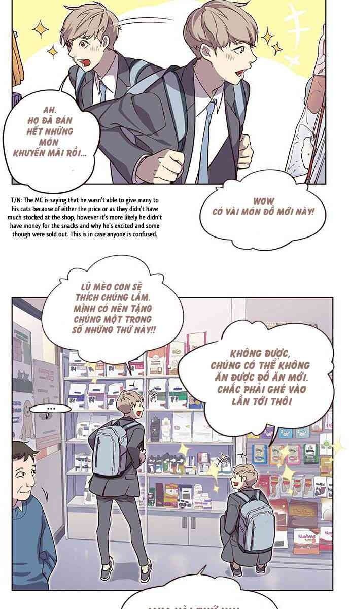 Mèo Mập Béo Bự - Page 13