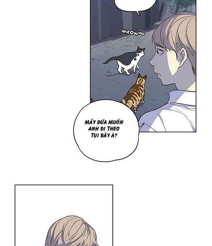 Mèo Mập Béo Bự - Page 44